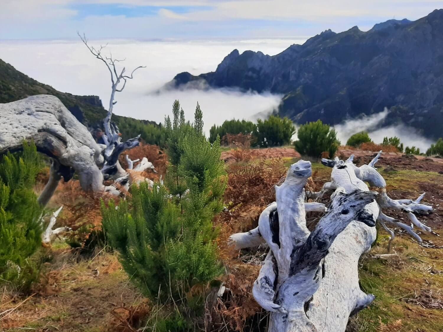 Pico Ruivo: Arieiro to Encumeada · 9