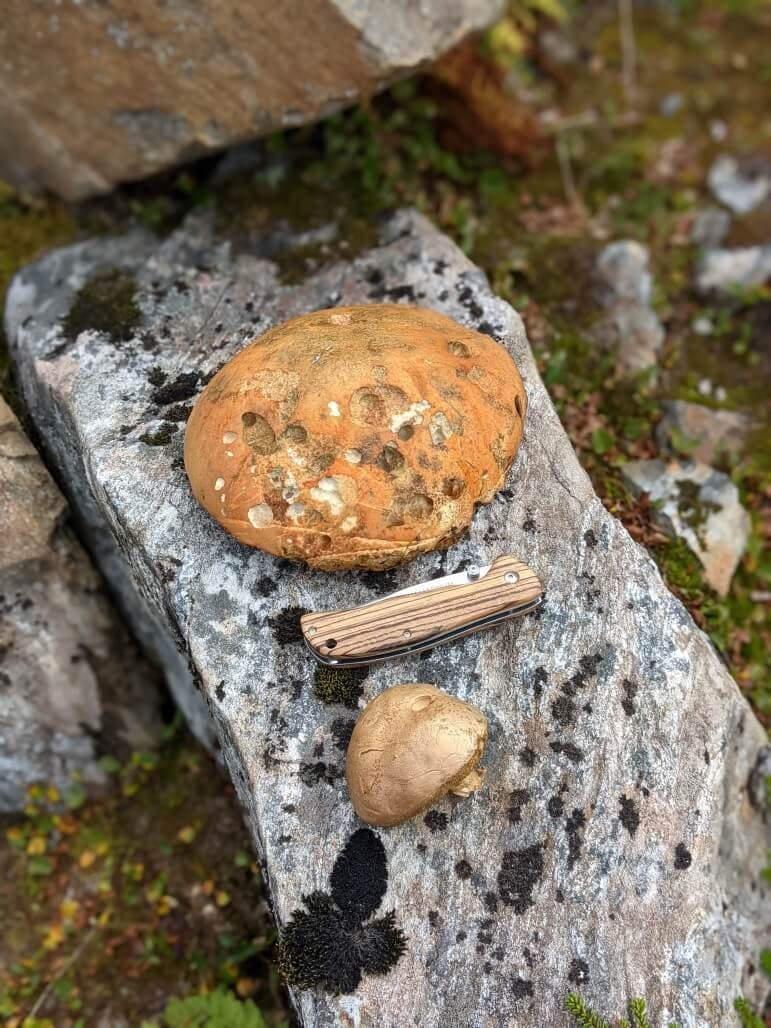 Southern Norway: Haukeliseter to Lysefjord · 6