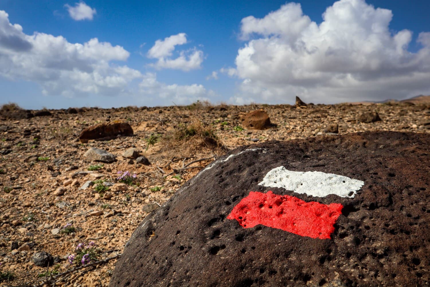 Fuerteventura along the GR 131 · 2