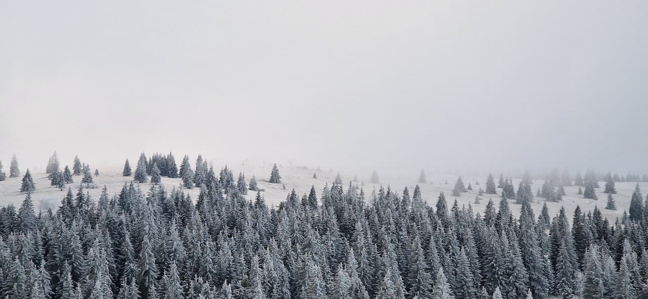 Volovské Mountains: Slovakia’s Quiet Ridges · 14