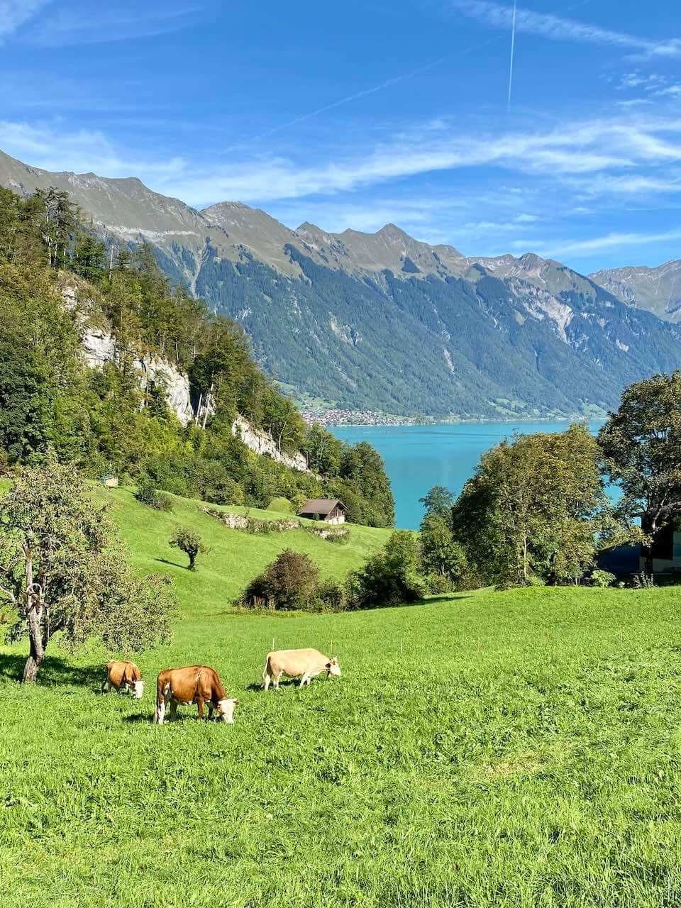A circuit beneath the Jungfrau · 5