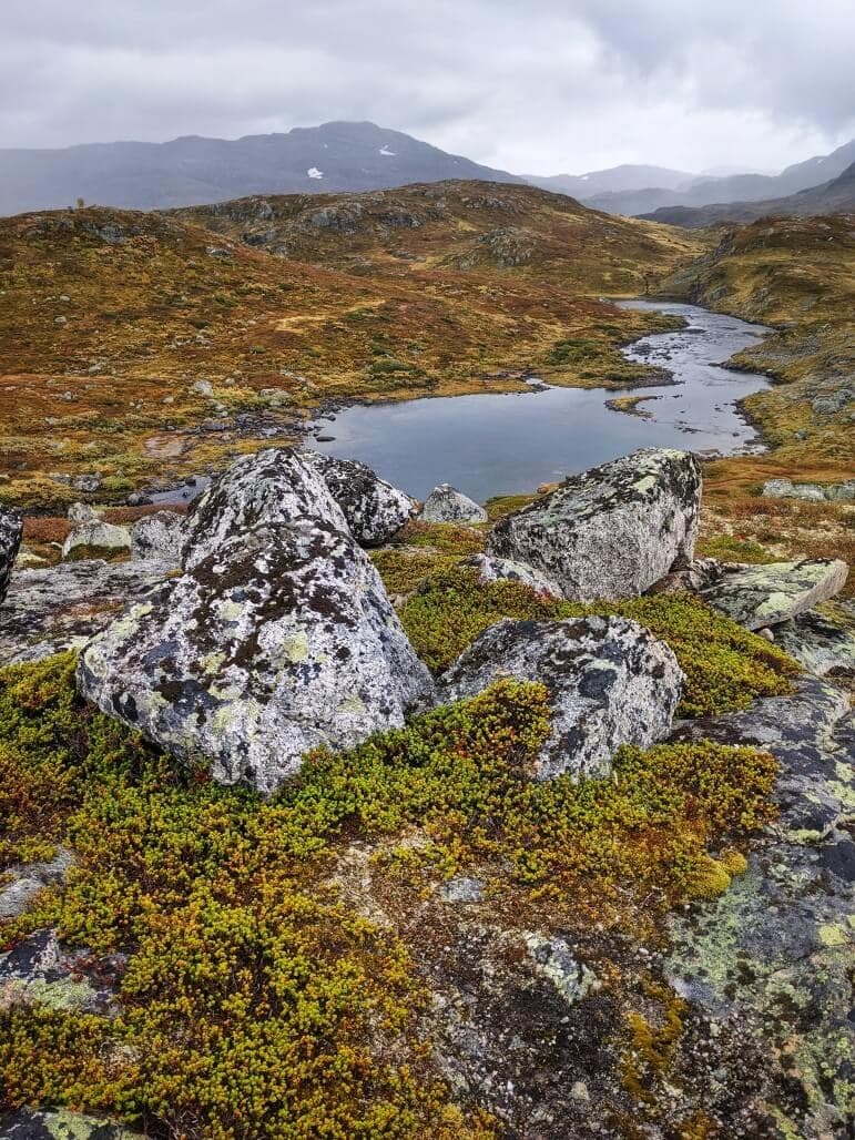 Southern Norway: Haukeliseter to Lysefjord · 4