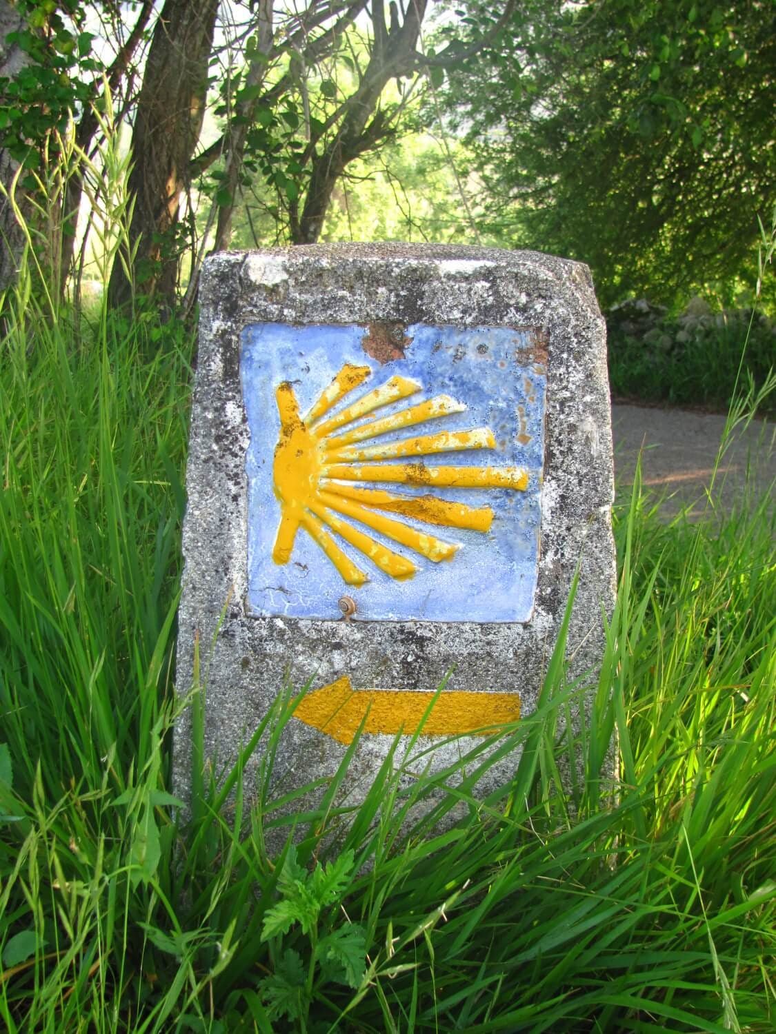 Camino Francés to Santiago de Compostela · 9