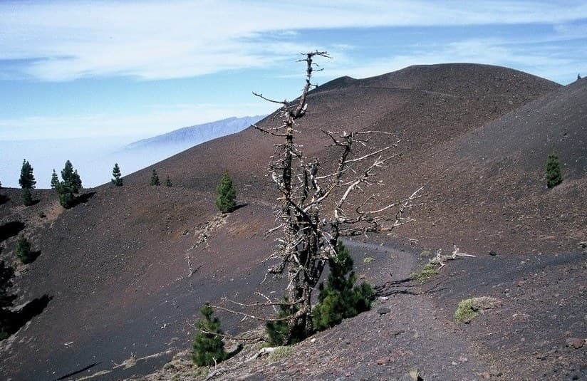 La Palma: Ruta de los Volcanes to the ocean · 15