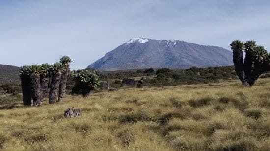 Kilimanjaro via the Marangu route · 8