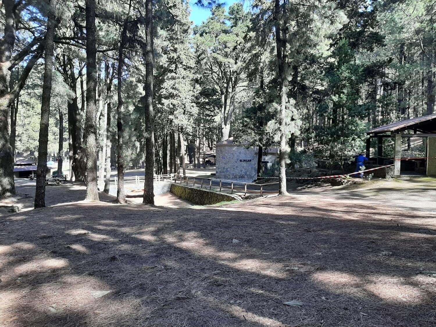 La Palma: Ruta de los Volcanes to the ocean · 6