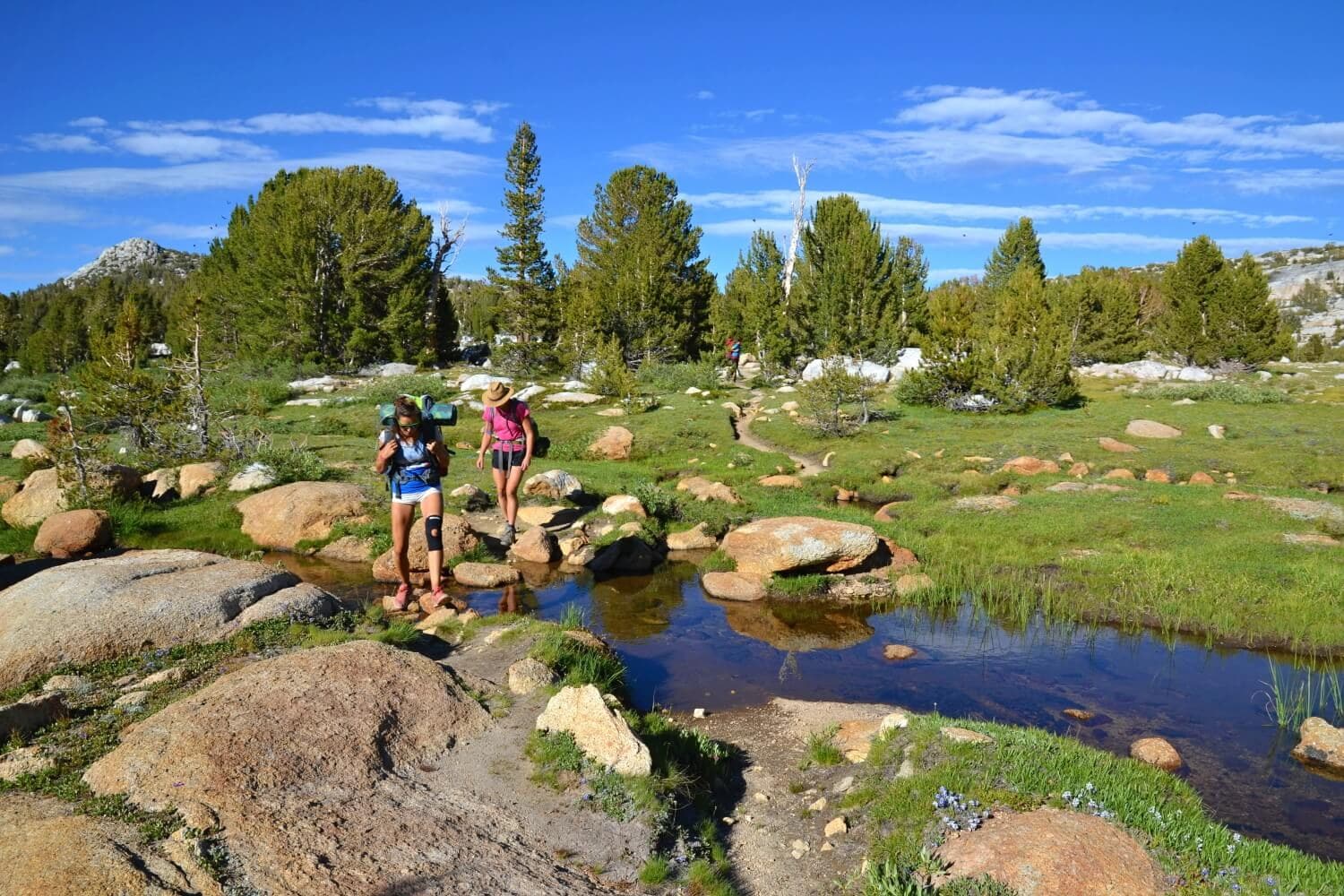 Yosemite: a trek through granite country · 2