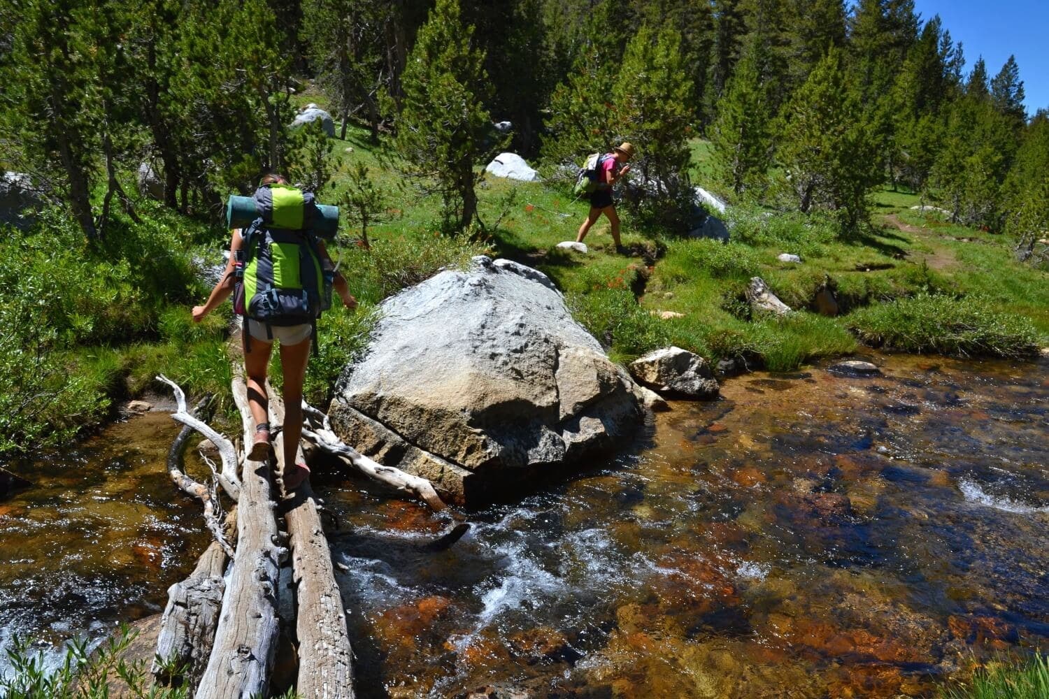 Yosemite: a trek through granite country · 8