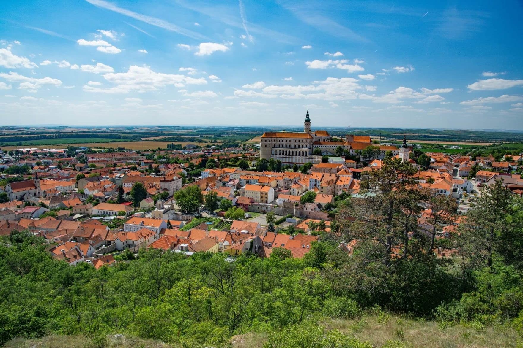 Across Pálava: Popice to Mikulov · 5