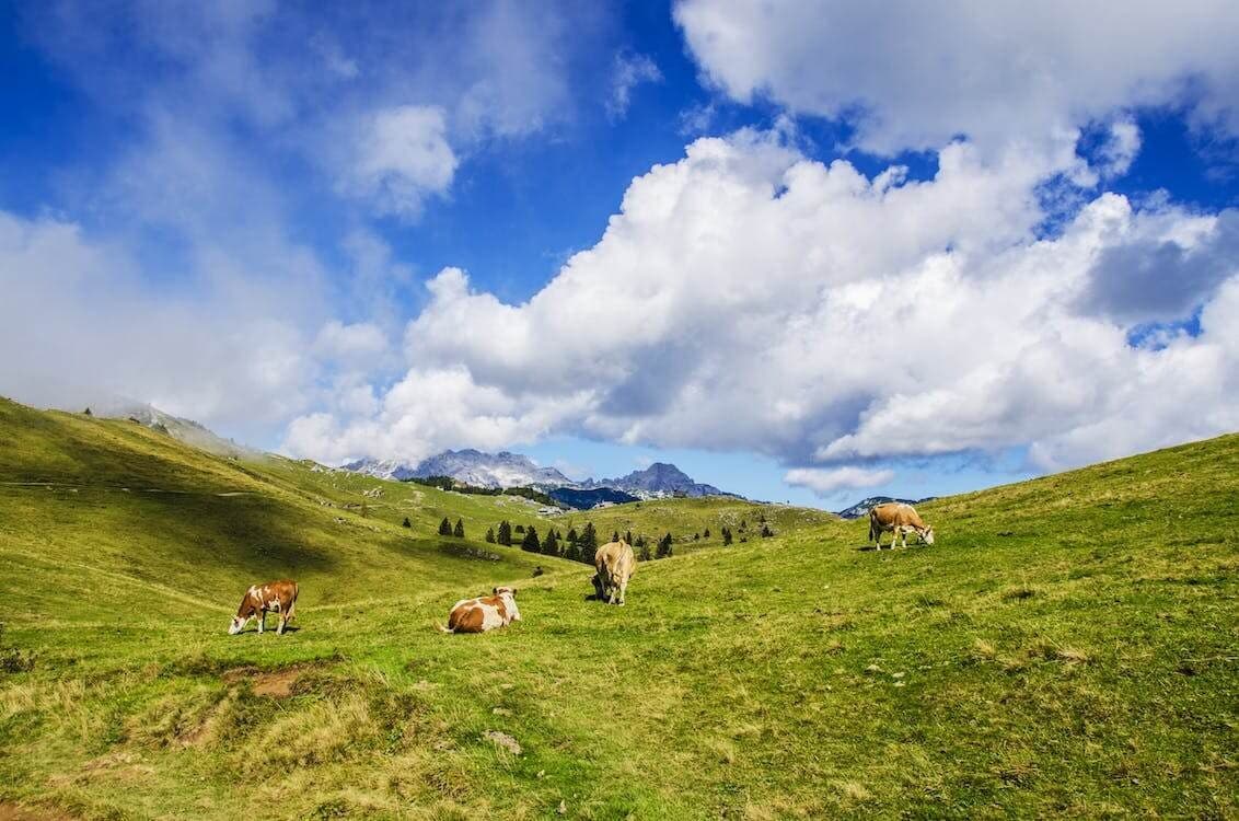 Across remote Mercantour mountain passes · 6