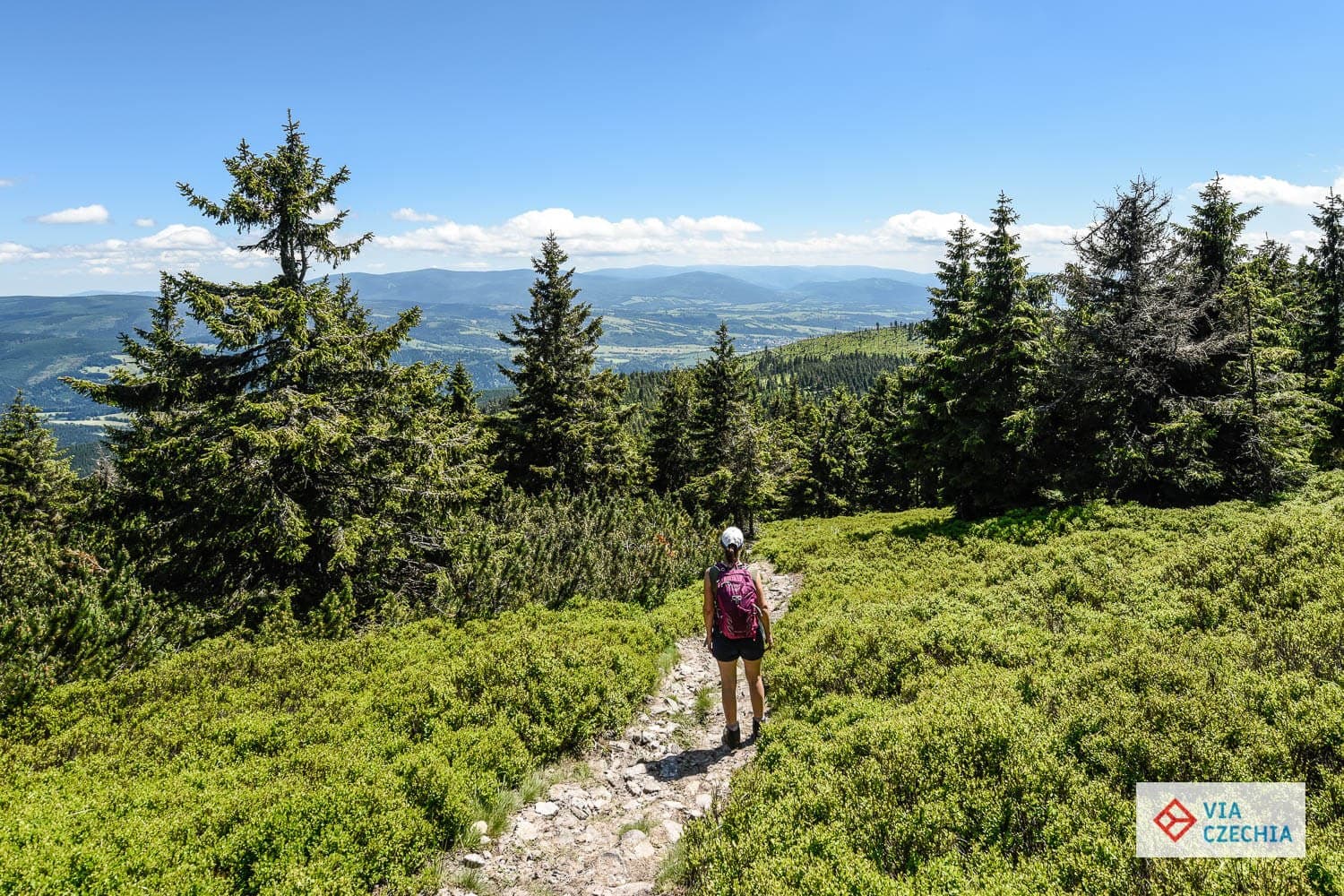 Across Králický Sněžník in two days · 7