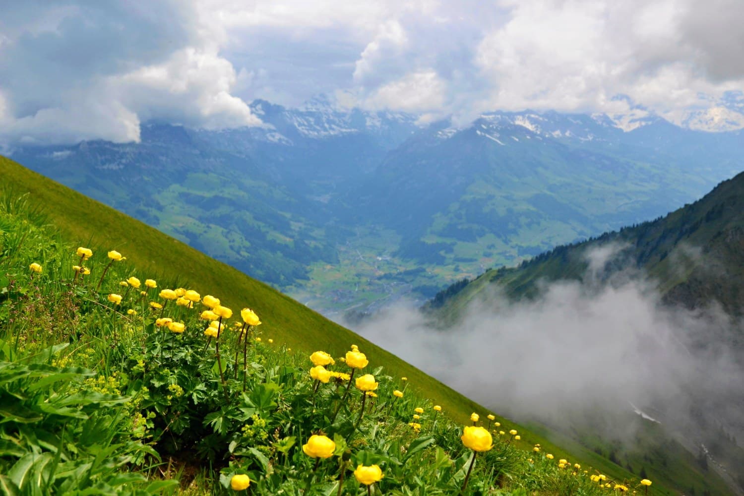 Niesen: hike up the Swiss pyramid · 8