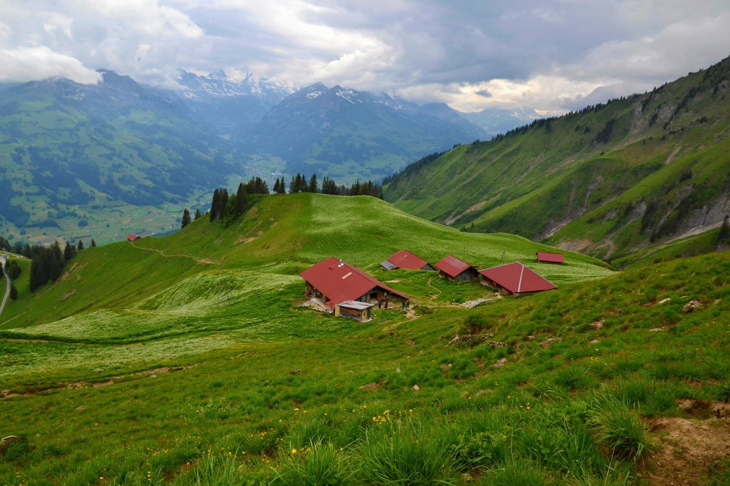 Niesen: hike up the Swiss pyramid · 17