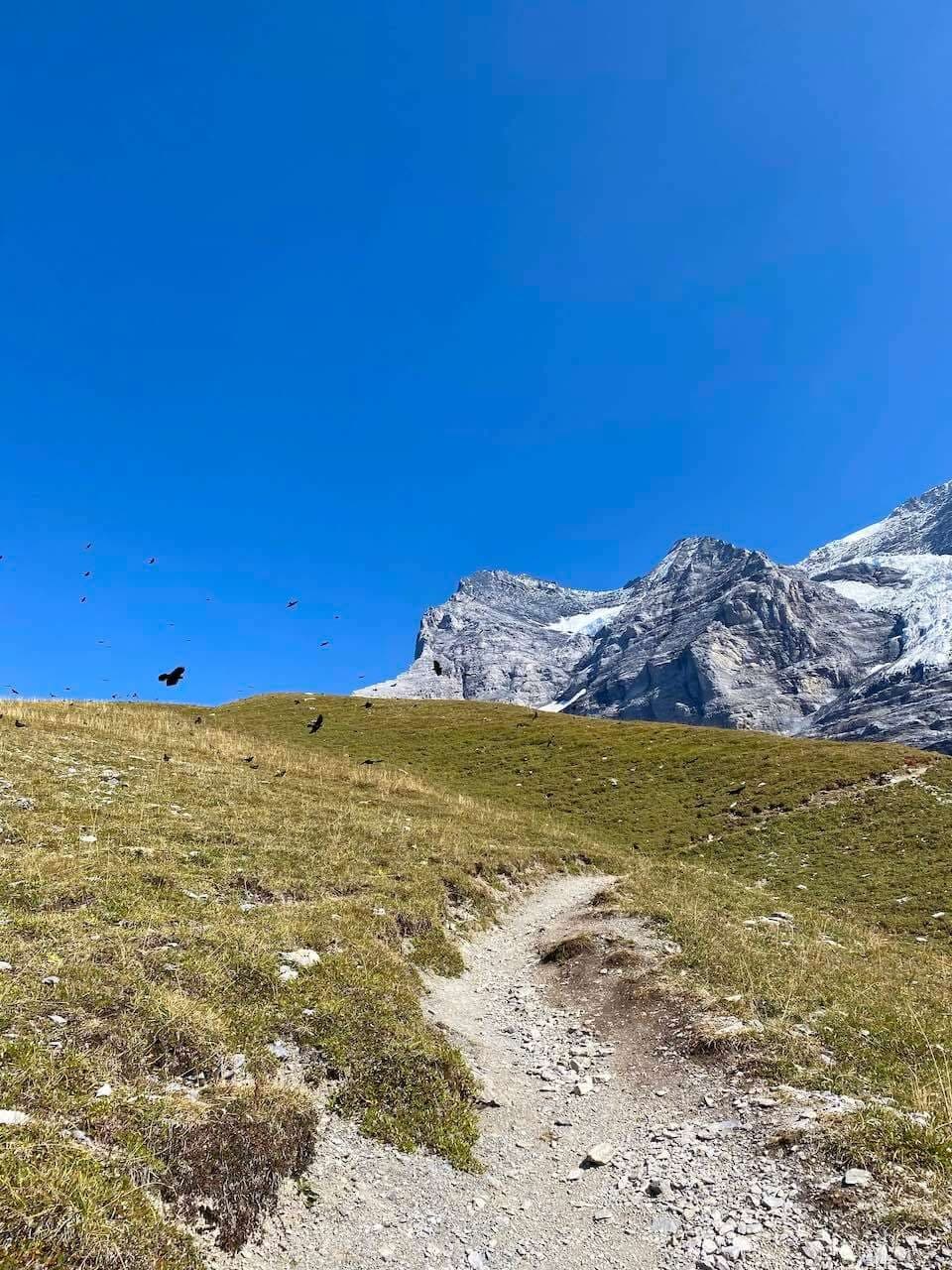 A circuit beneath the Jungfrau · 9