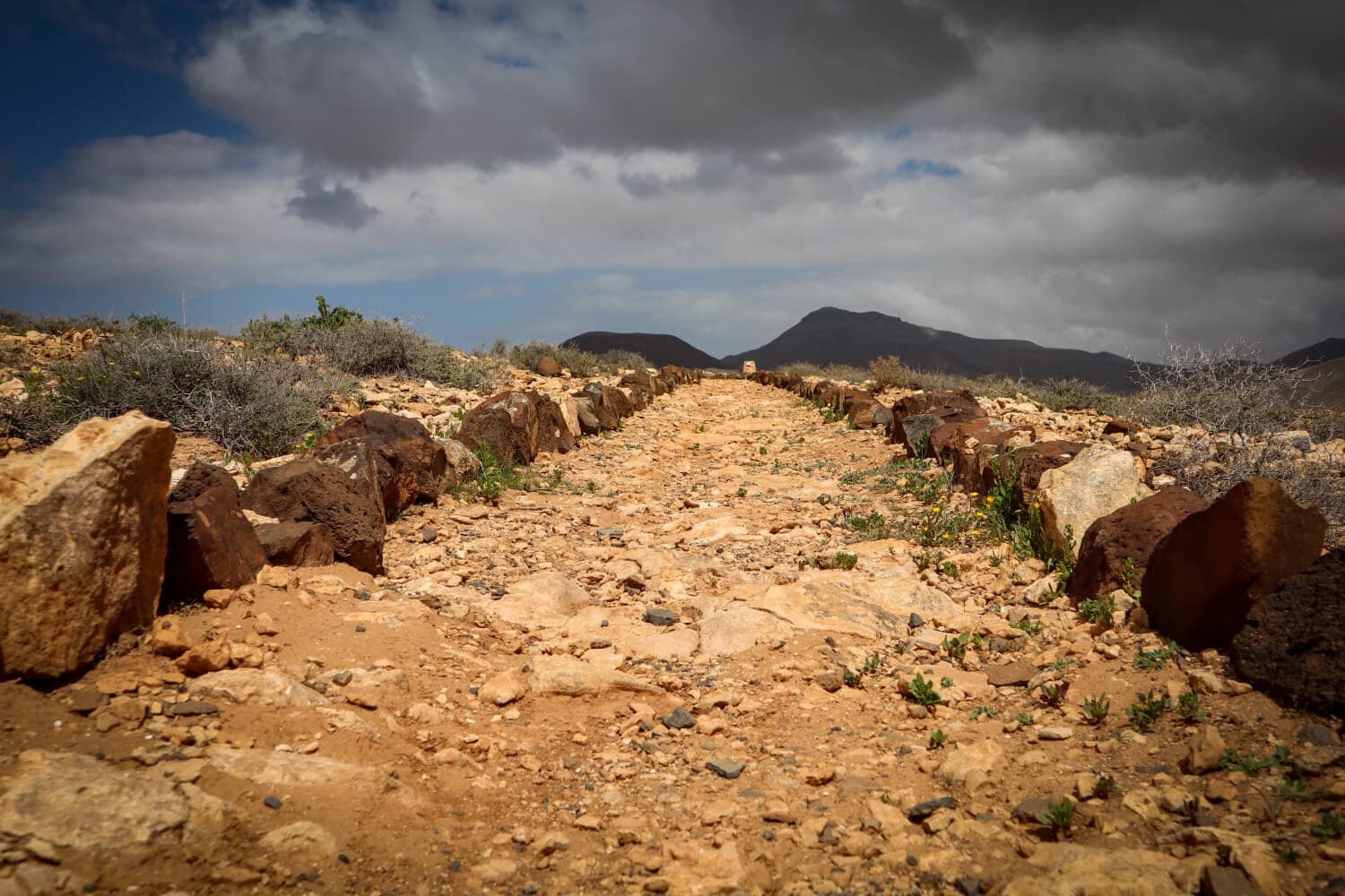 Fuerteventura along the GR 131 · 15