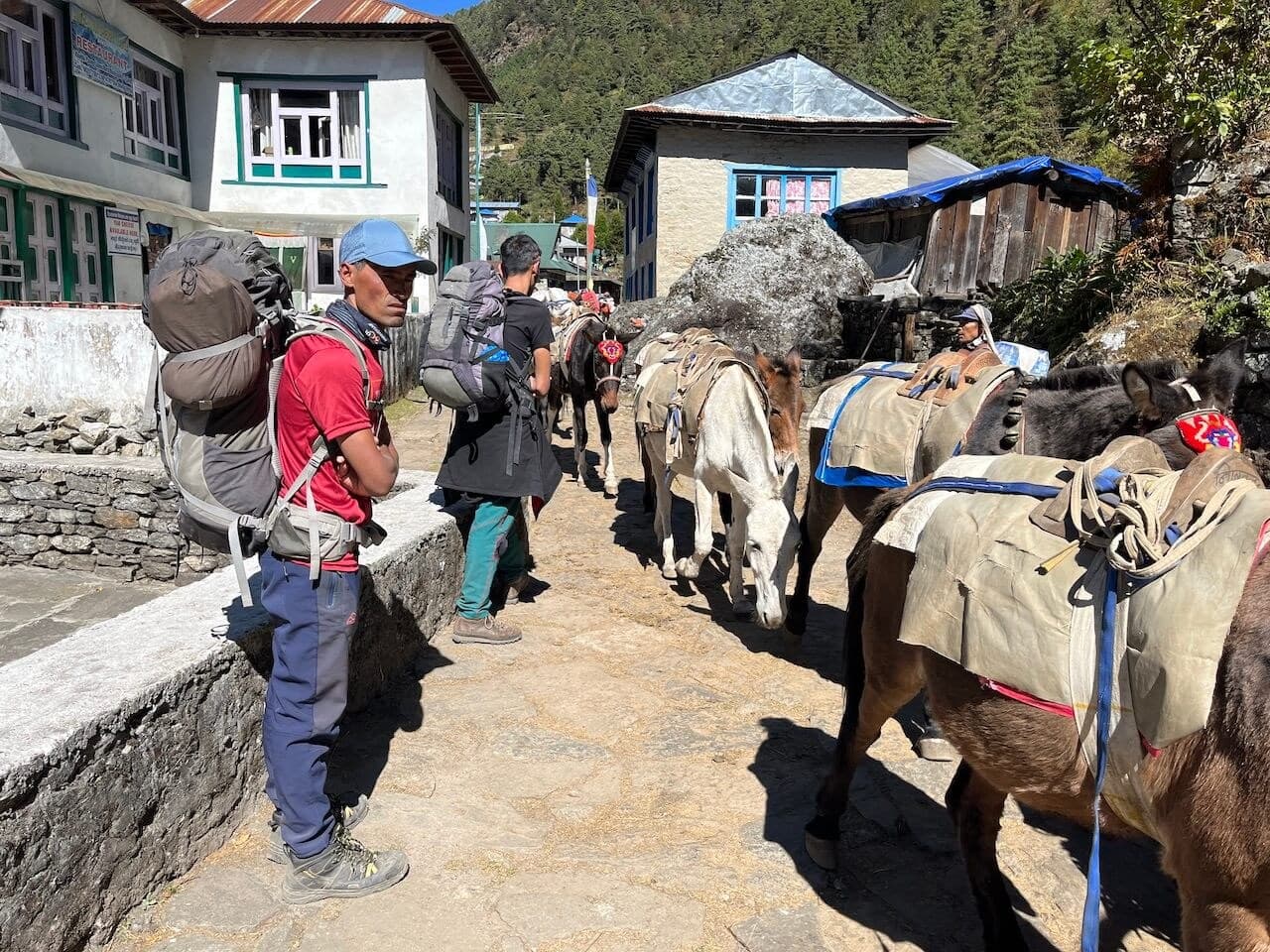 Everest Base Camp via the Gokyo Lakes · 9