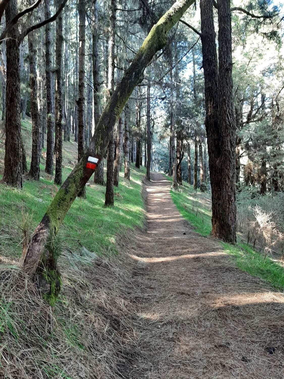 La Palma: Ruta de los Volcanes to the ocean · 10