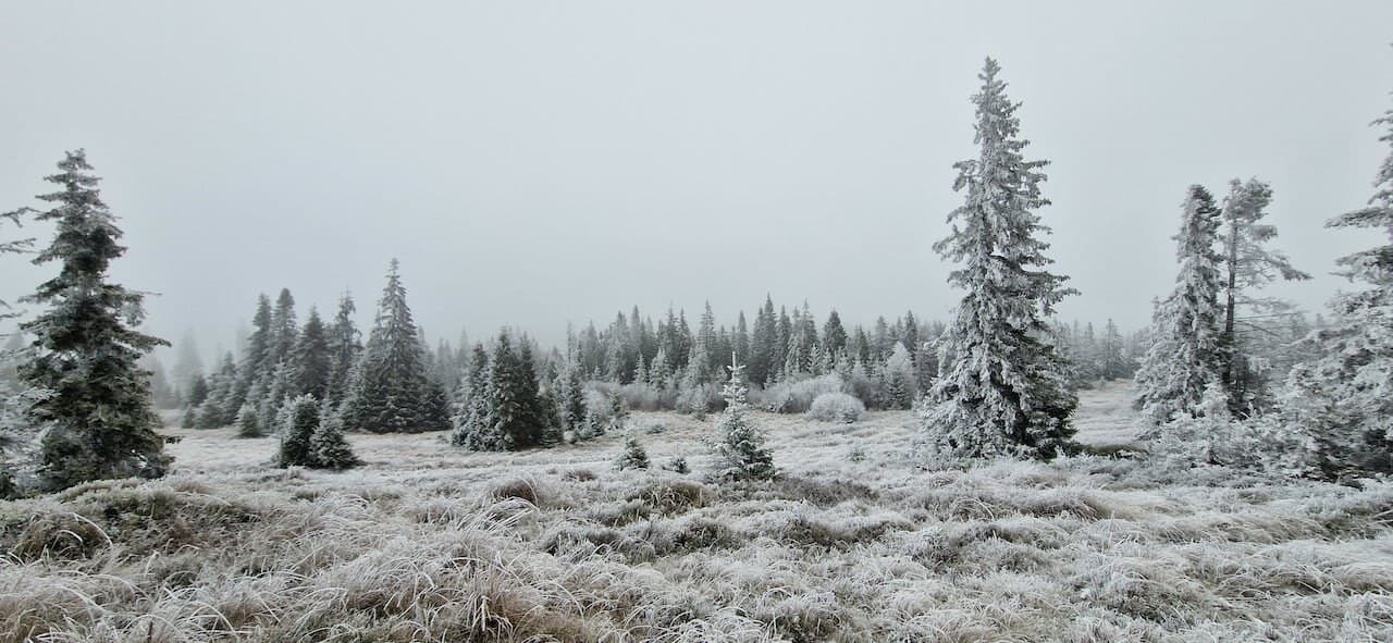 Volovské Mountains: Slovakia’s Quiet Ridges · 2