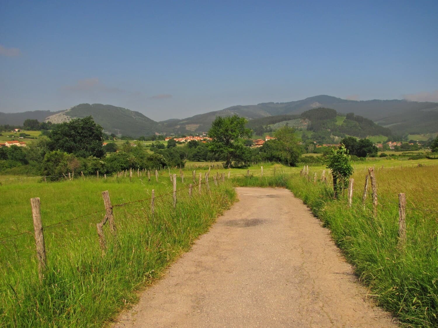 Camino Francés to Santiago de Compostela · 12