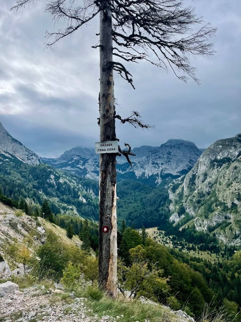 Maglić from Prijevor saddle · 5