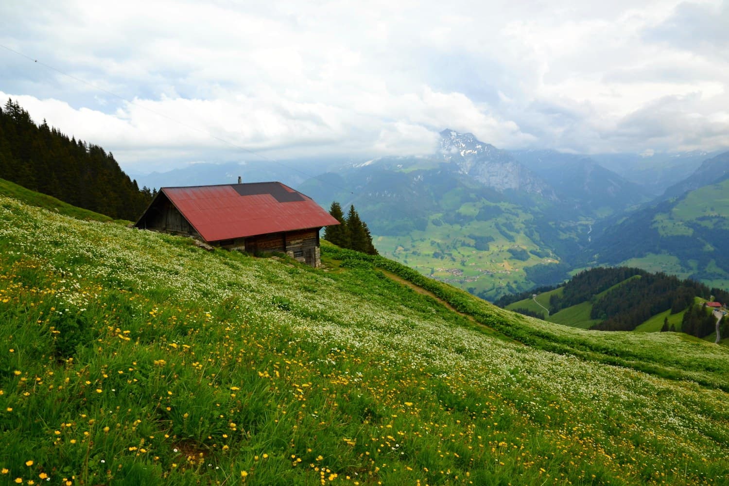 Niesen: hike up the Swiss pyramid · 11