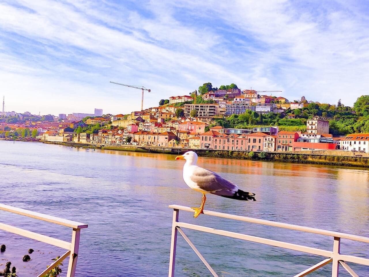Walking Portugal from Porto to Sagres · 4