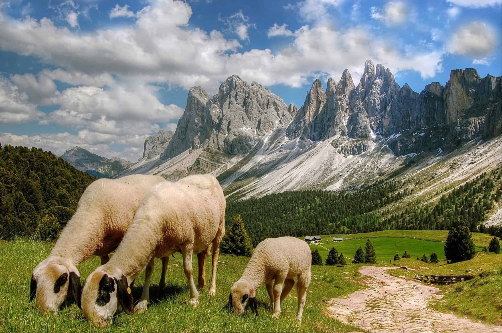 Dolorama Trail: four days in the Dolomites · 6