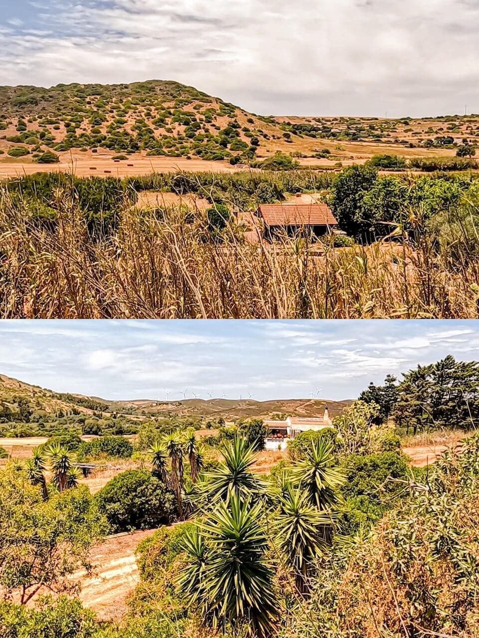 Walking Portugal from Porto to Sagres · 14