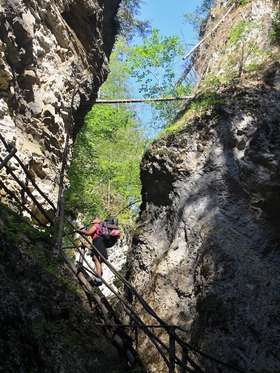 Crossing Bulgaria's Rhodope Mountains · 8