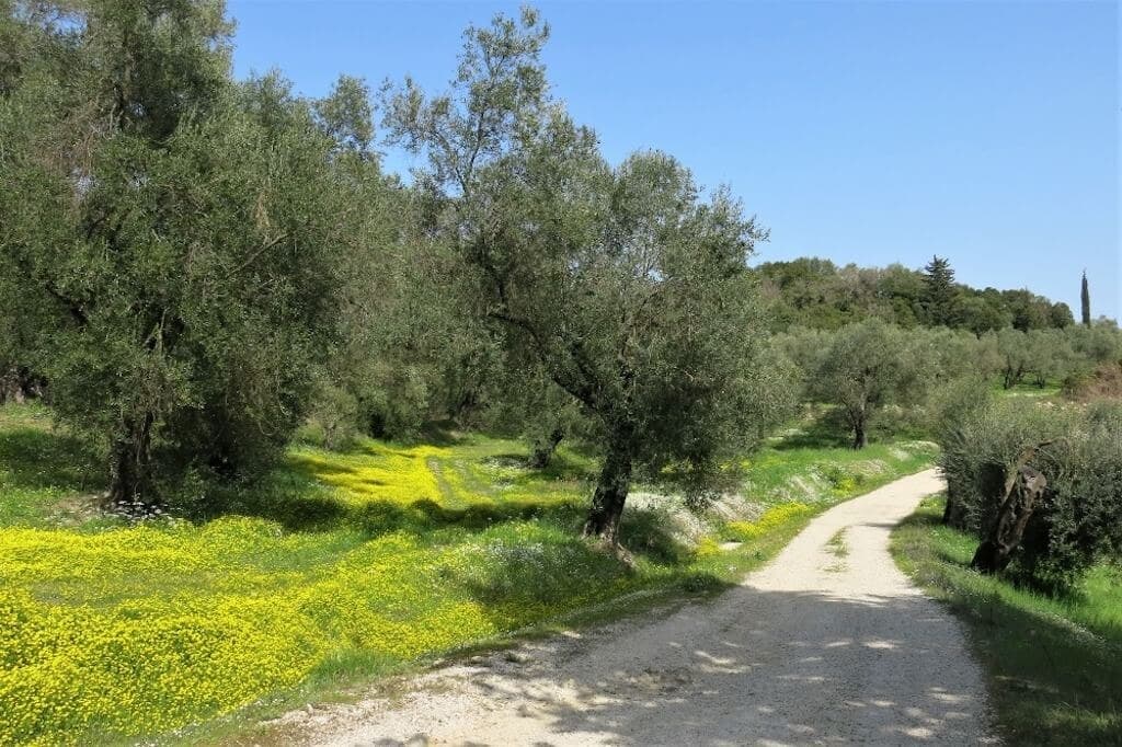 Corfu Trail: Across the Island on Foot · 3