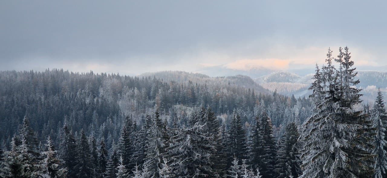Volovské Mountains: Slovakia’s Quiet Ridges · 15