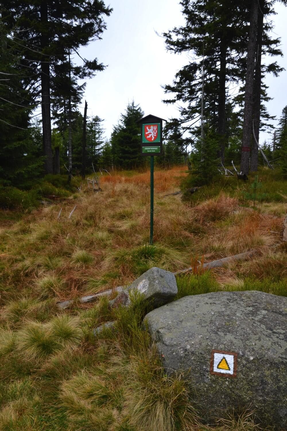 Crossing the Jizera Mountains · 14