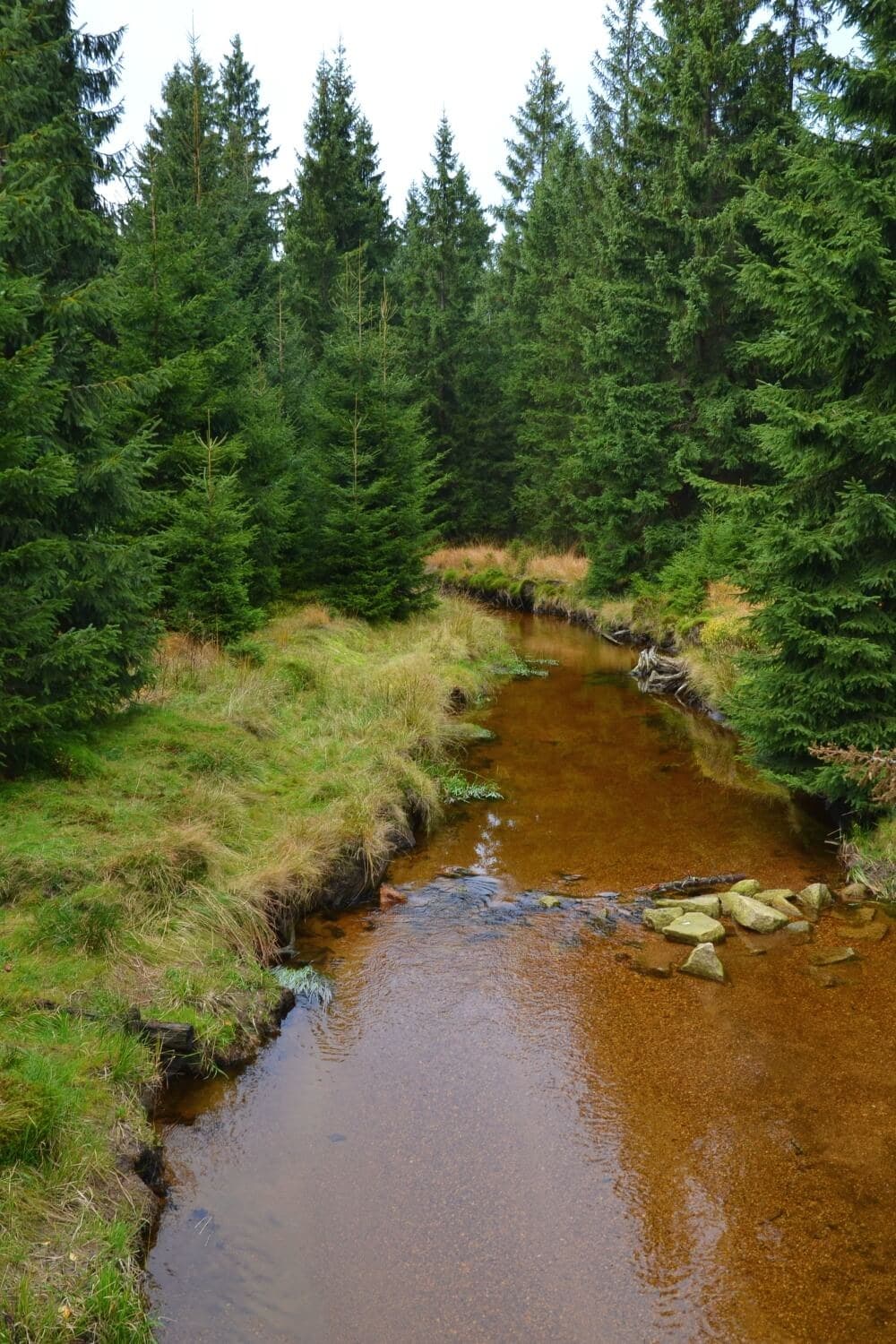 Crossing the Jizera Mountains · 19